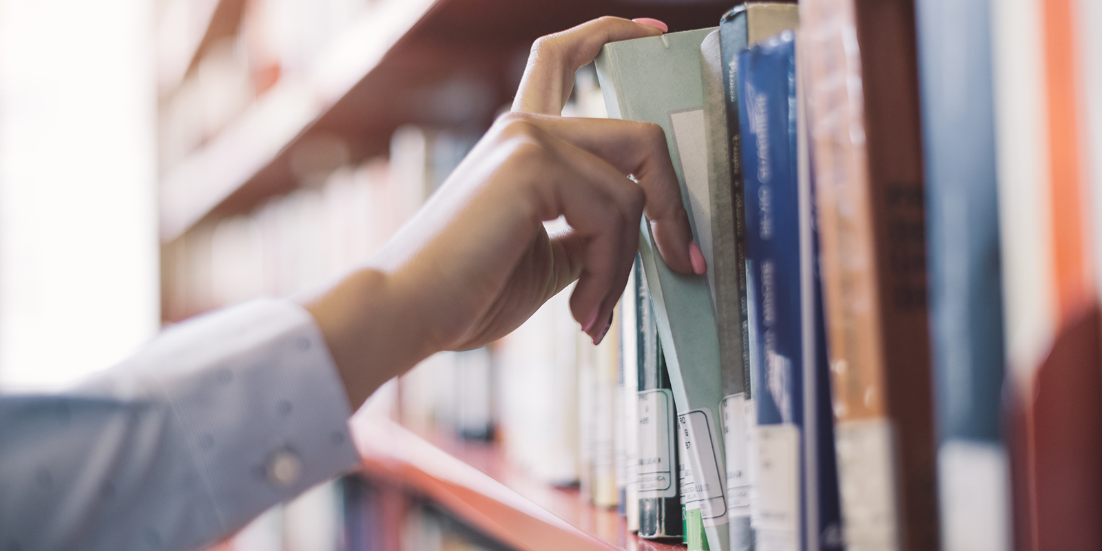 Honoring Library Workers On A Day Dedicated to Them